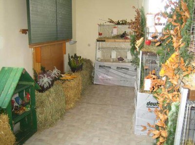 Kleintierzüchter - Ausstellung